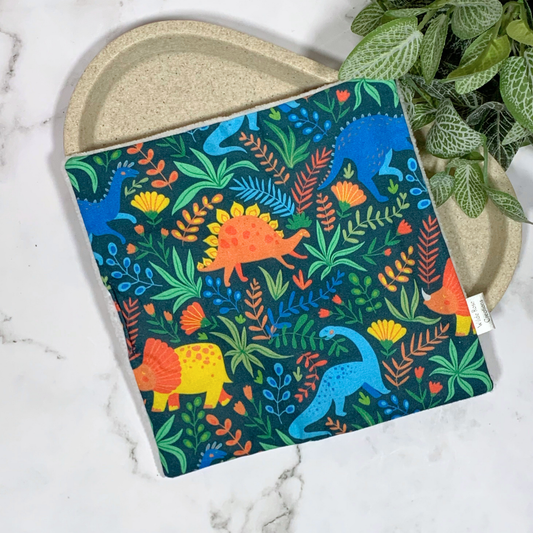 Dinosaurs Face Washer